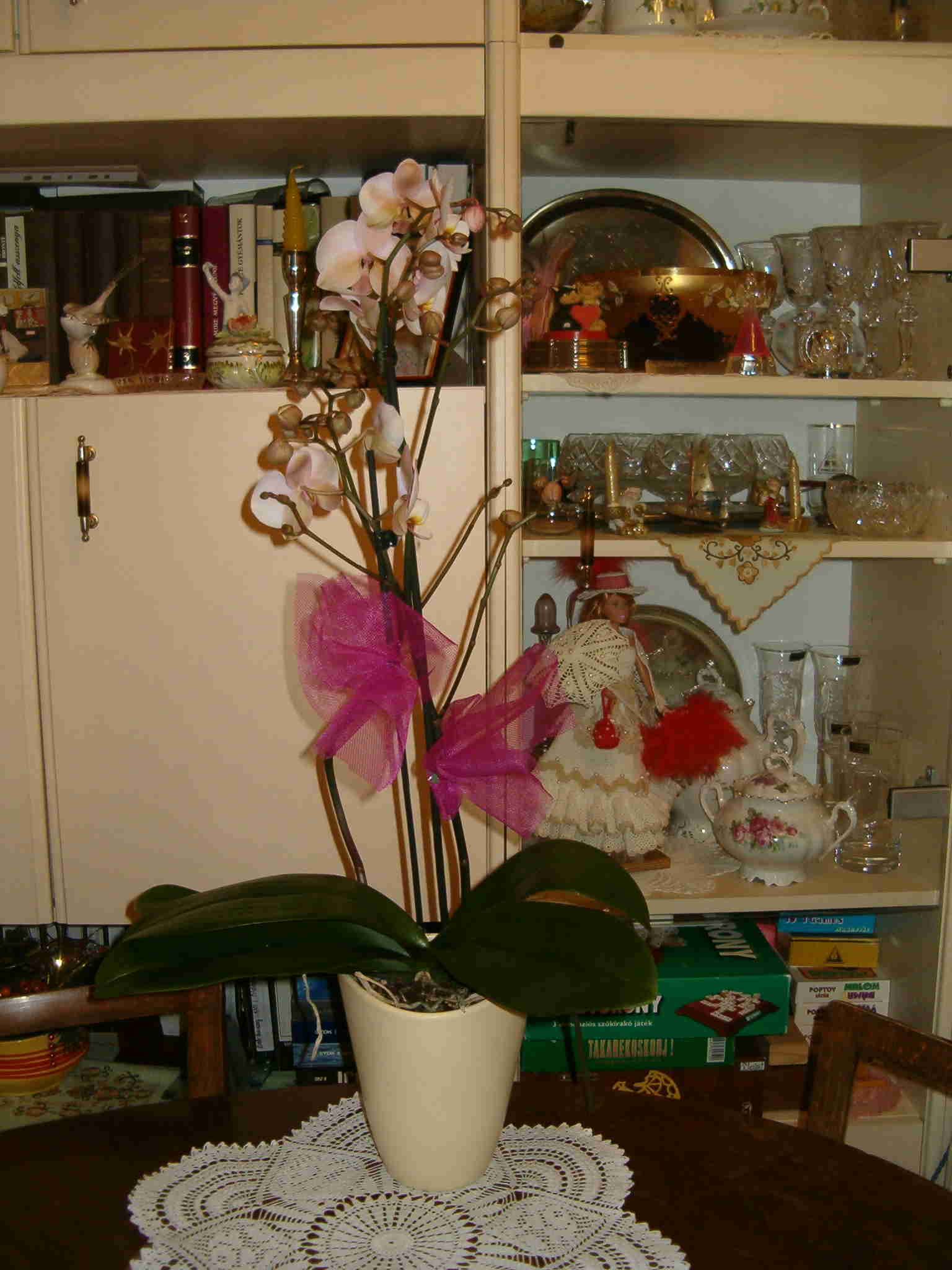 Szletsnapi orchidem a Promtl